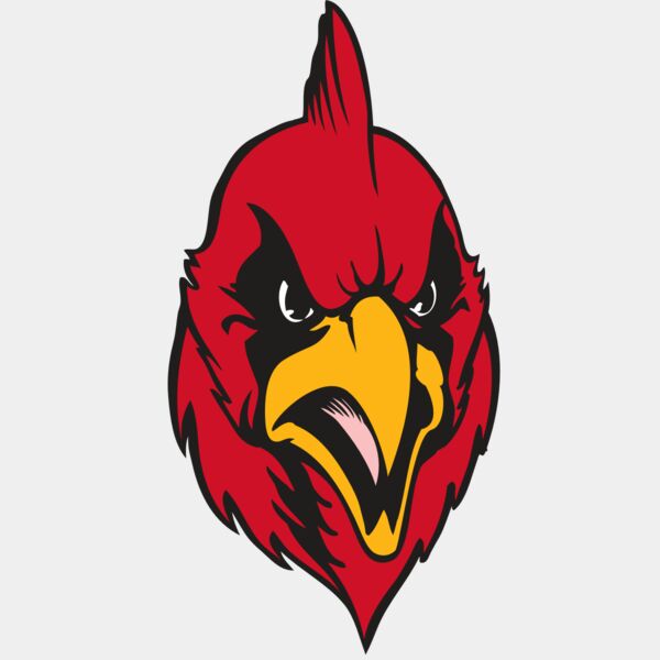 BAW CARDINAL 11 RC Thumbnail