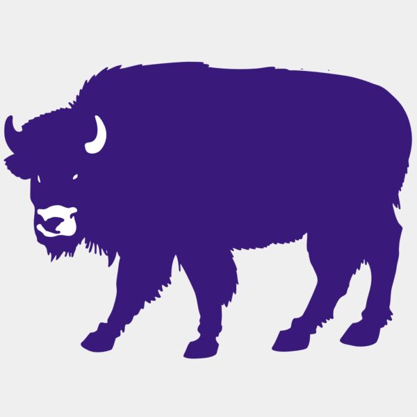 AR BUFF 23 RC Thumbnail