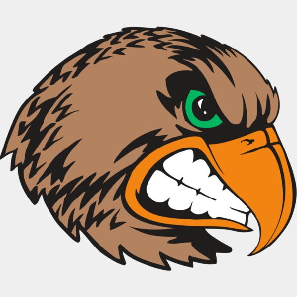 BAW HWK FLCN 09 RC Thumbnail