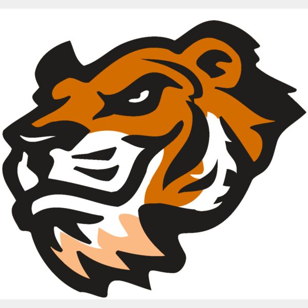 AR TIGER 21 RC Thumbnail