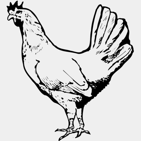 CHICK012 Thumbnail