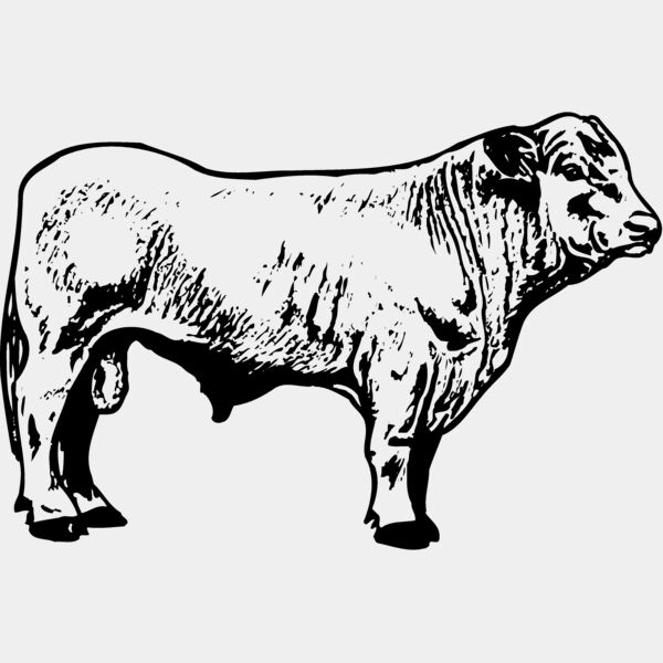 COW023 Thumbnail